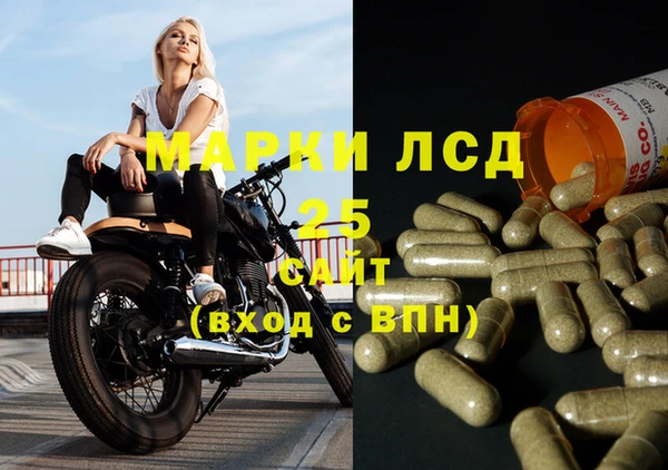 тгк Дмитров
