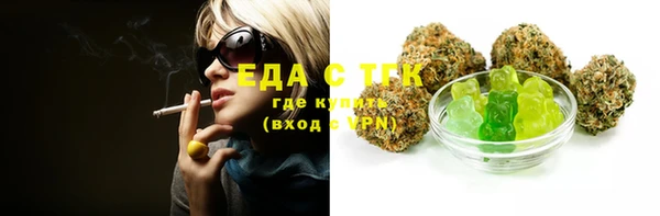 тгк Дмитров