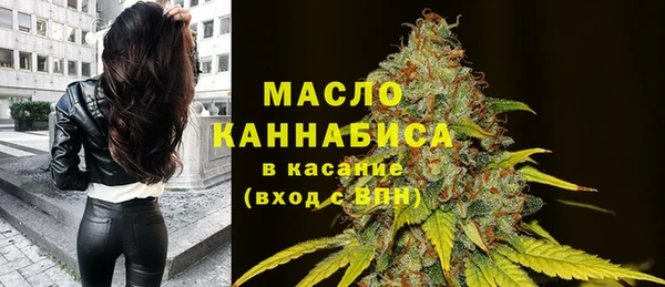 тгк Дмитров