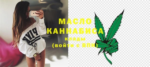 тгк Дмитров