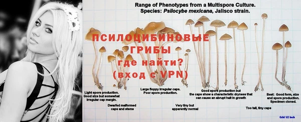 экстази Дмитриев