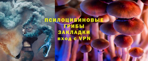 экстази Дмитриев