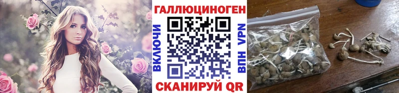 Псилоцибиновые грибы прущие грибы  Купить  Инта 